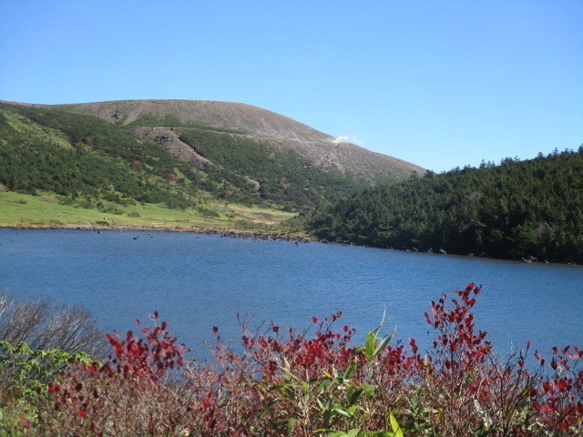 IMG_1770.JPG