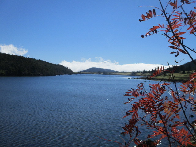 IMG_1765.JPG