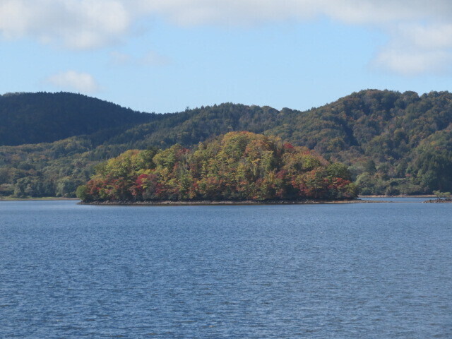 IMG_4066.JPG