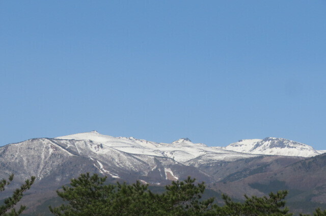 IMG_7669.JPG