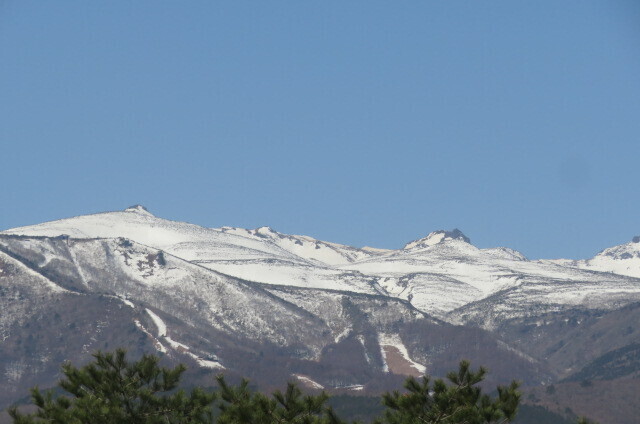 IMG_7670.JPG