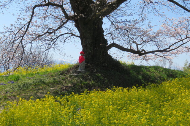 IMG_7948.JPG
