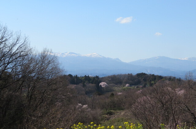 IMG_7957.JPG
