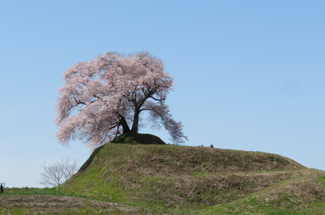 IMG_8080.JPG