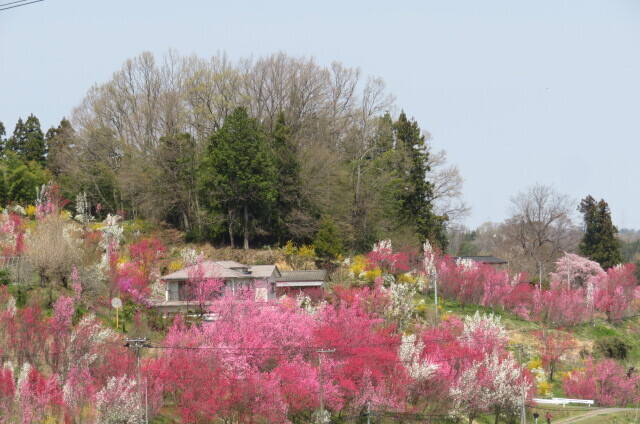 IMG_8162.JPG