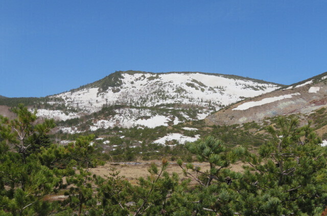 IMG_8394.JPG