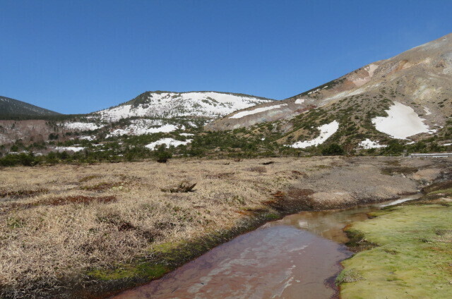IMG_8398.JPG