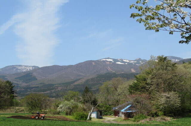IMG_8408.JPG