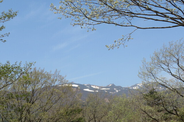 IMG_8413.JPG