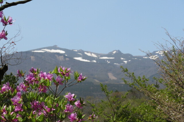 IMG_8432.JPG