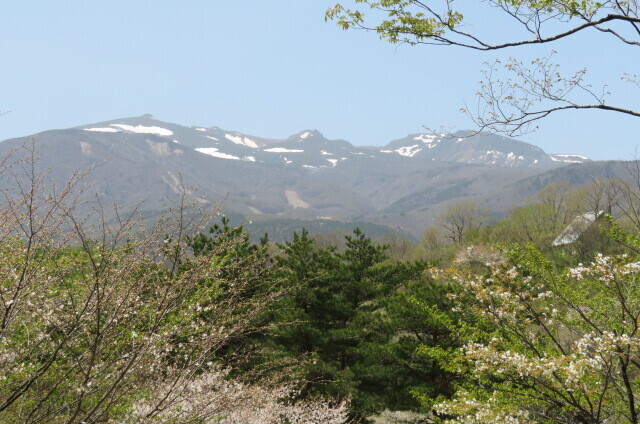 IMG_8434.JPG