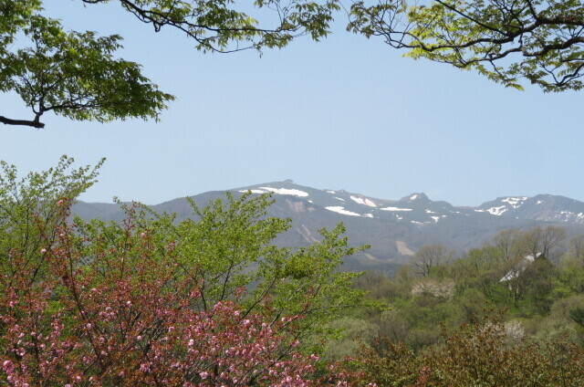 IMG_8436.JPG