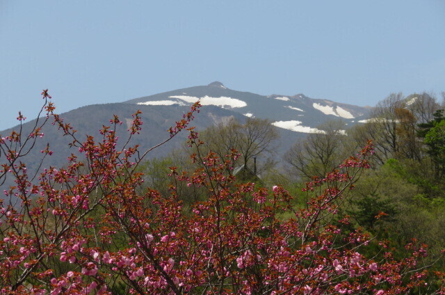 IMG_8441.JPG