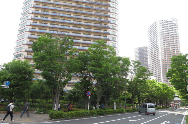 IMG_9137.JPG